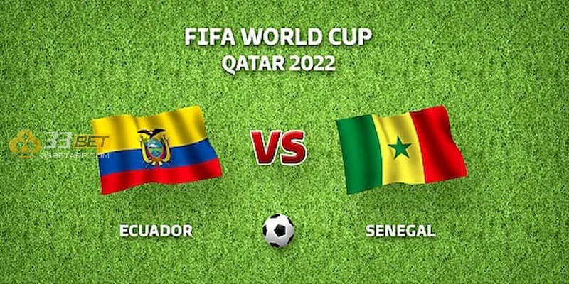 Đội tuyển Qatar nằm trong bảng A World Cup 2022