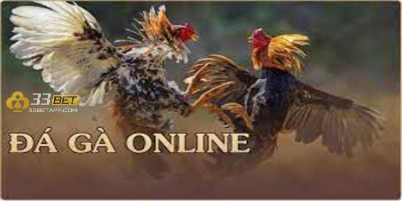 Tìm hiểu cách đăng ký đá gà online 