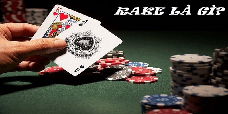 Rake Trong Poker Là Gì, Quan Trọng Như Thế Nào Môn Bài Này?